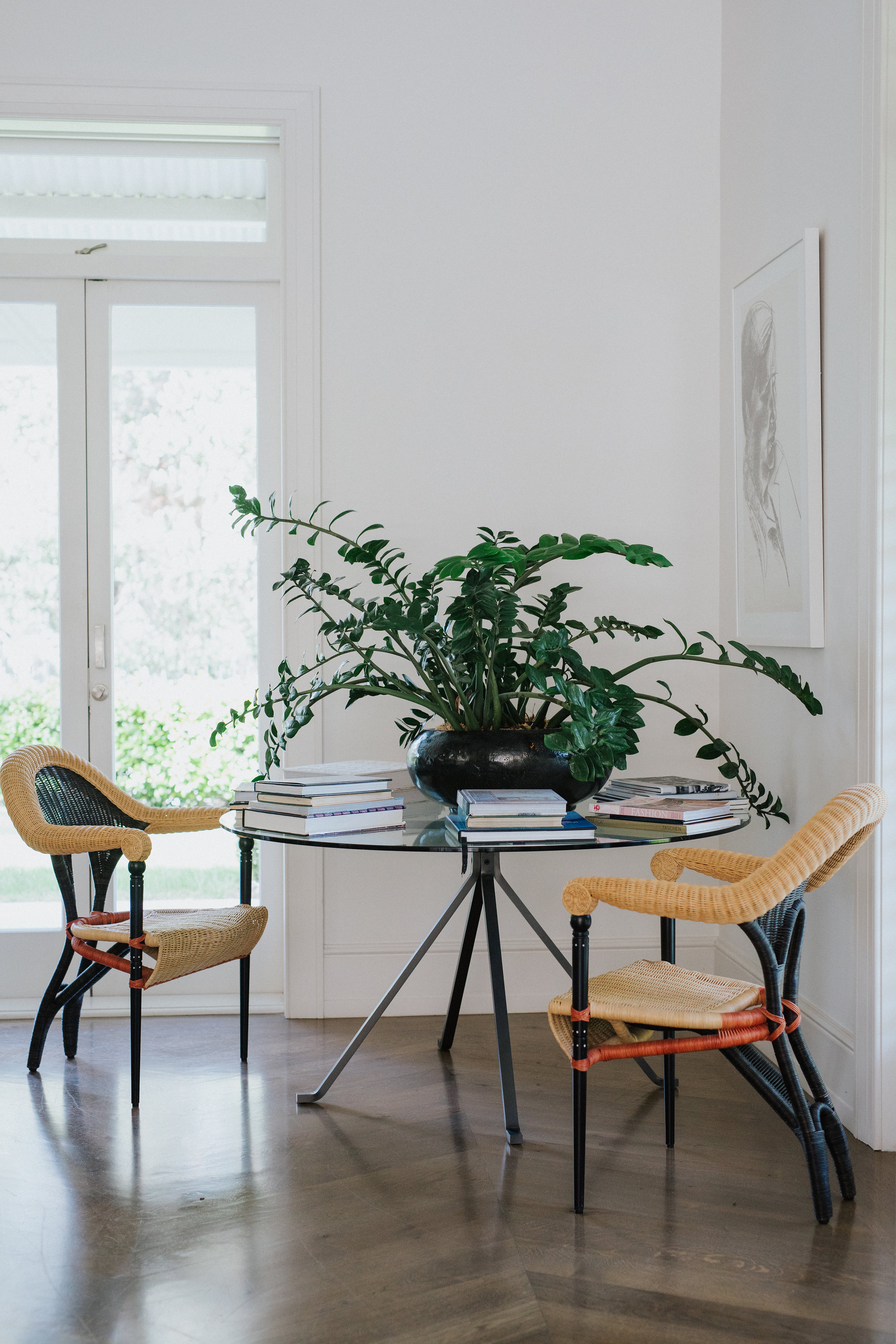 Plant on table with two wooden chairs