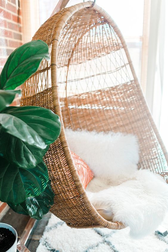 Swinging cane chair and green plants