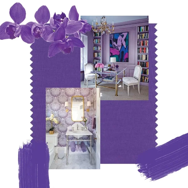 Image Olivia Wimsett Own Design.
