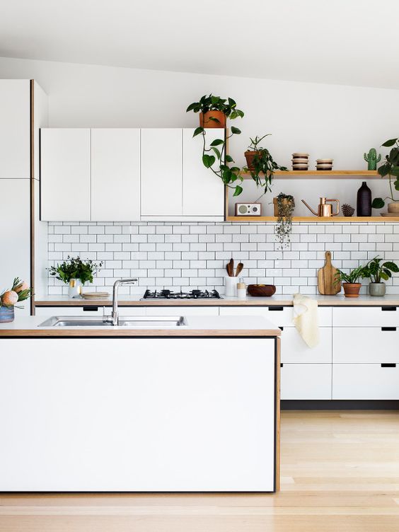 Modern white kitchen with plants 