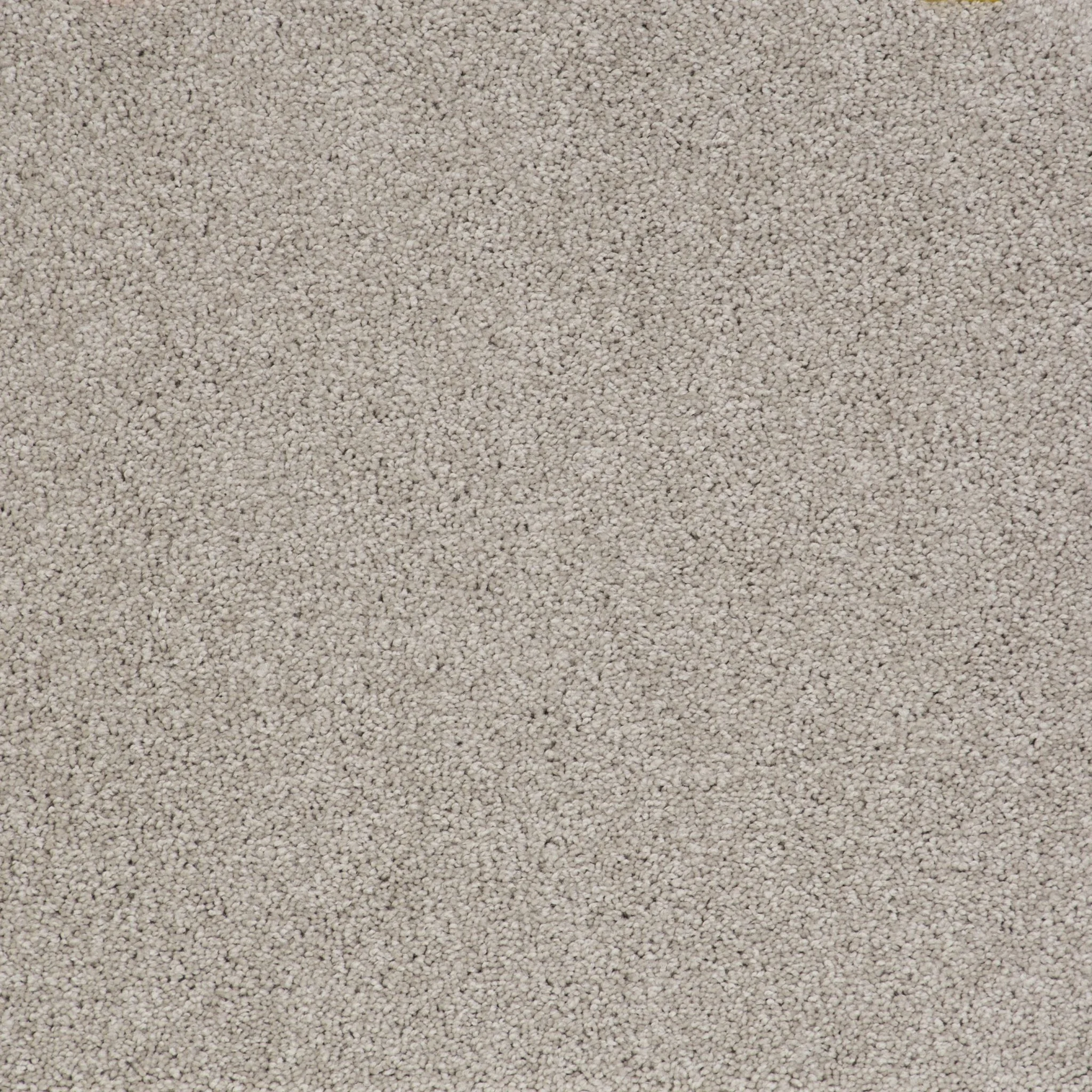 Carpet Court