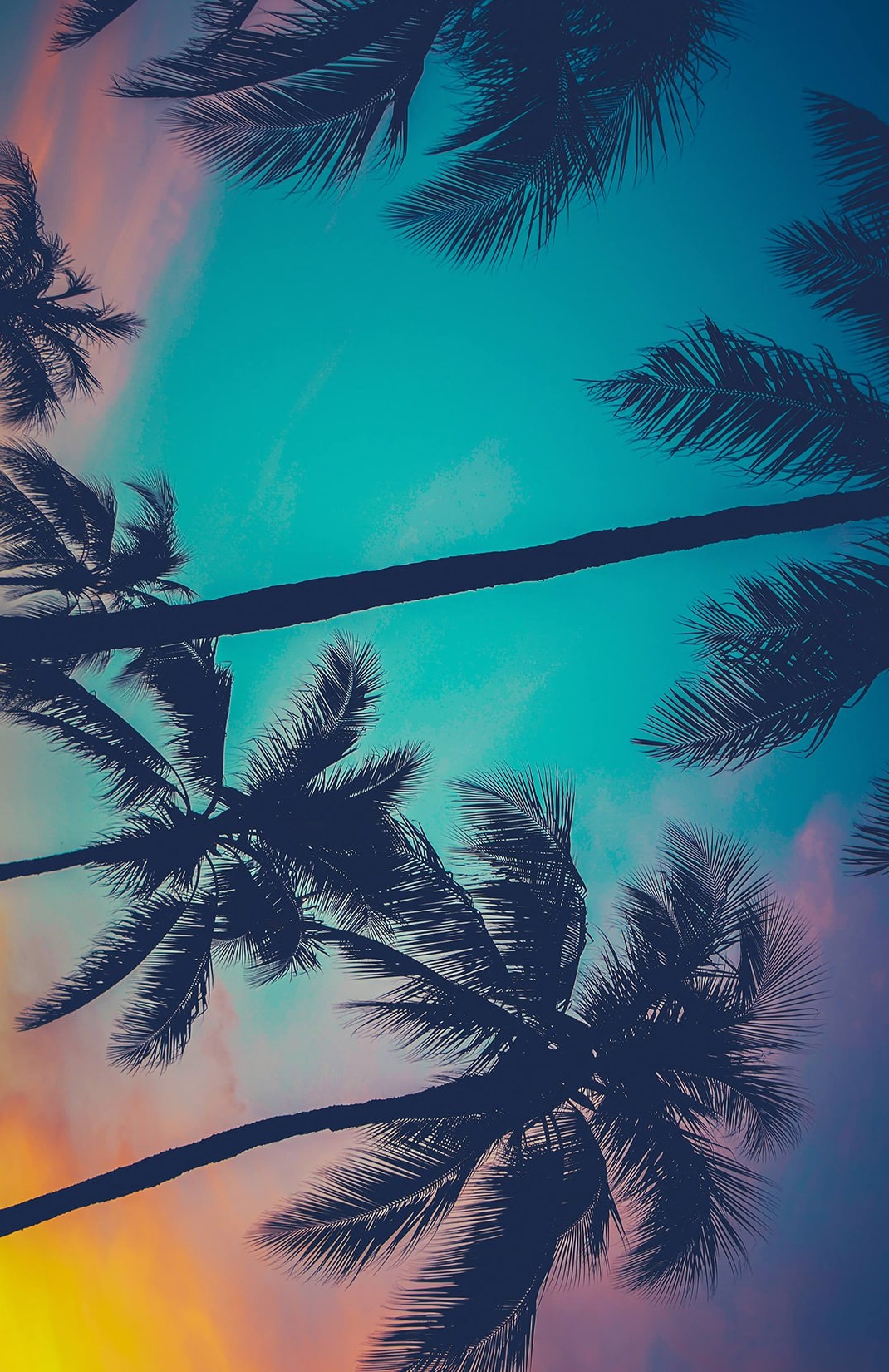 hawaii-palm-trees-mural-beach-plain.jpg