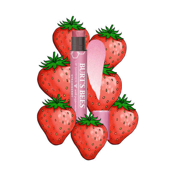 Burts Bees Lip Shimmer