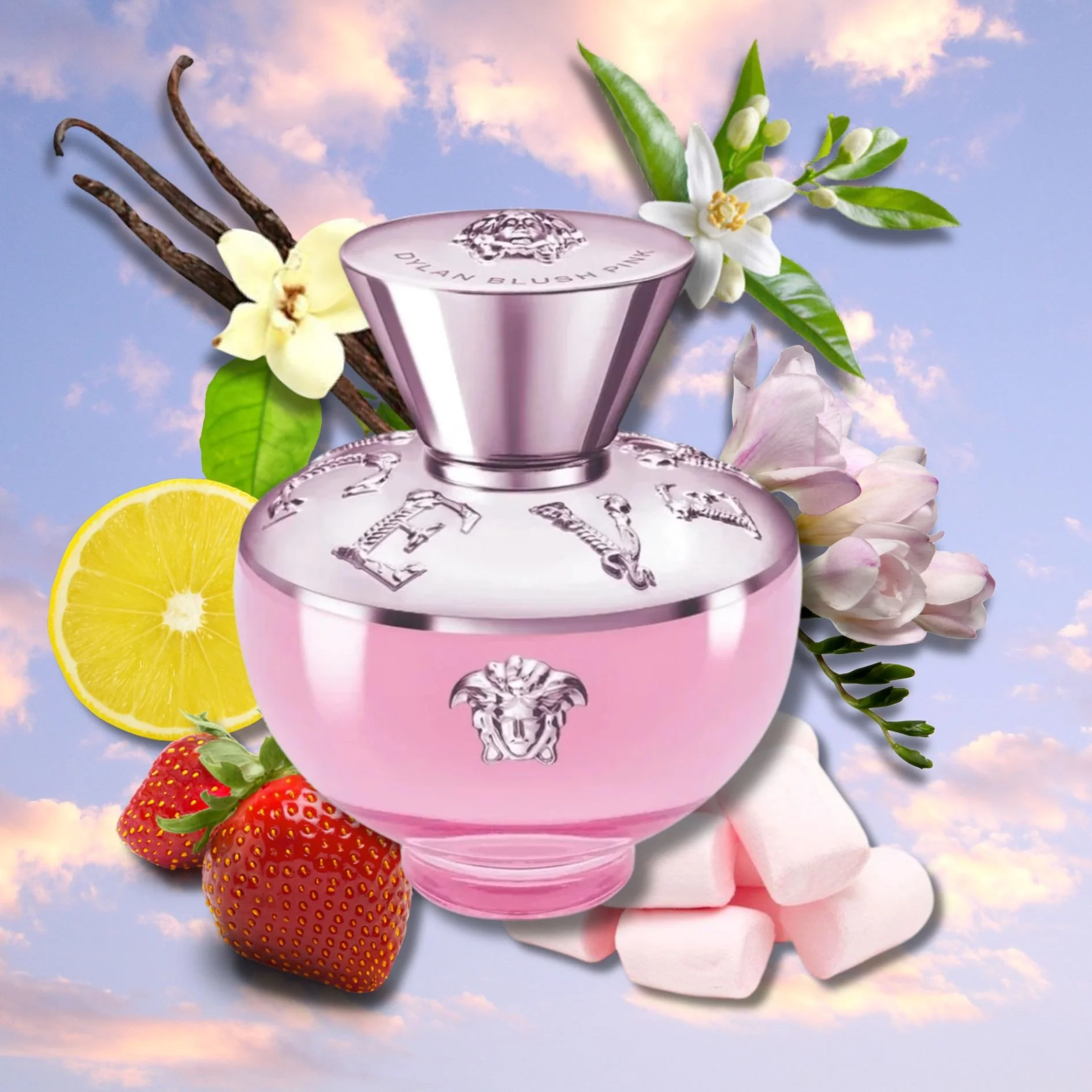 Versace Dylan Blush Pink