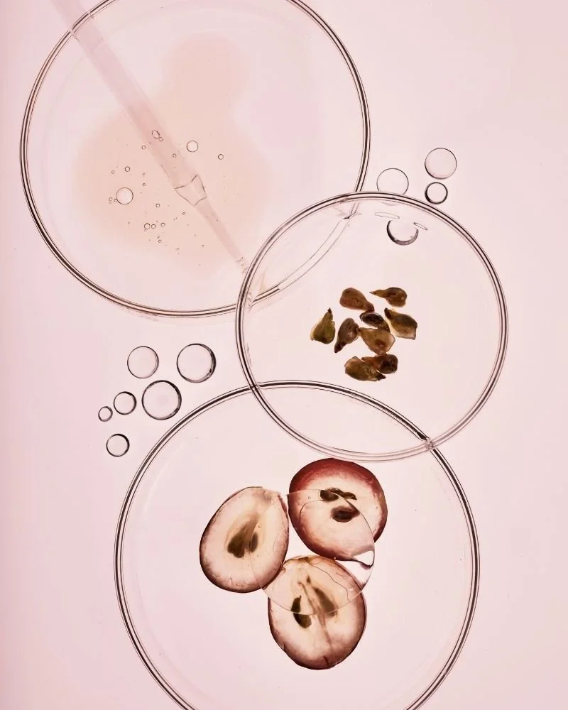 What is Resveratrol? 