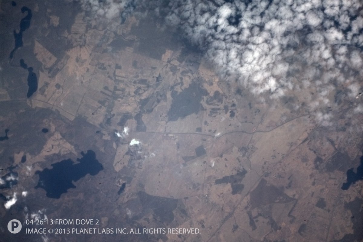 this-is-droga-krajowa-11-poland-when-the-founders-were-raising-funds-they-promised-their-tech-could-count-every-tree-on-the-planet-and-these-pictures-from-the-test-satellites-proved-it.jpg