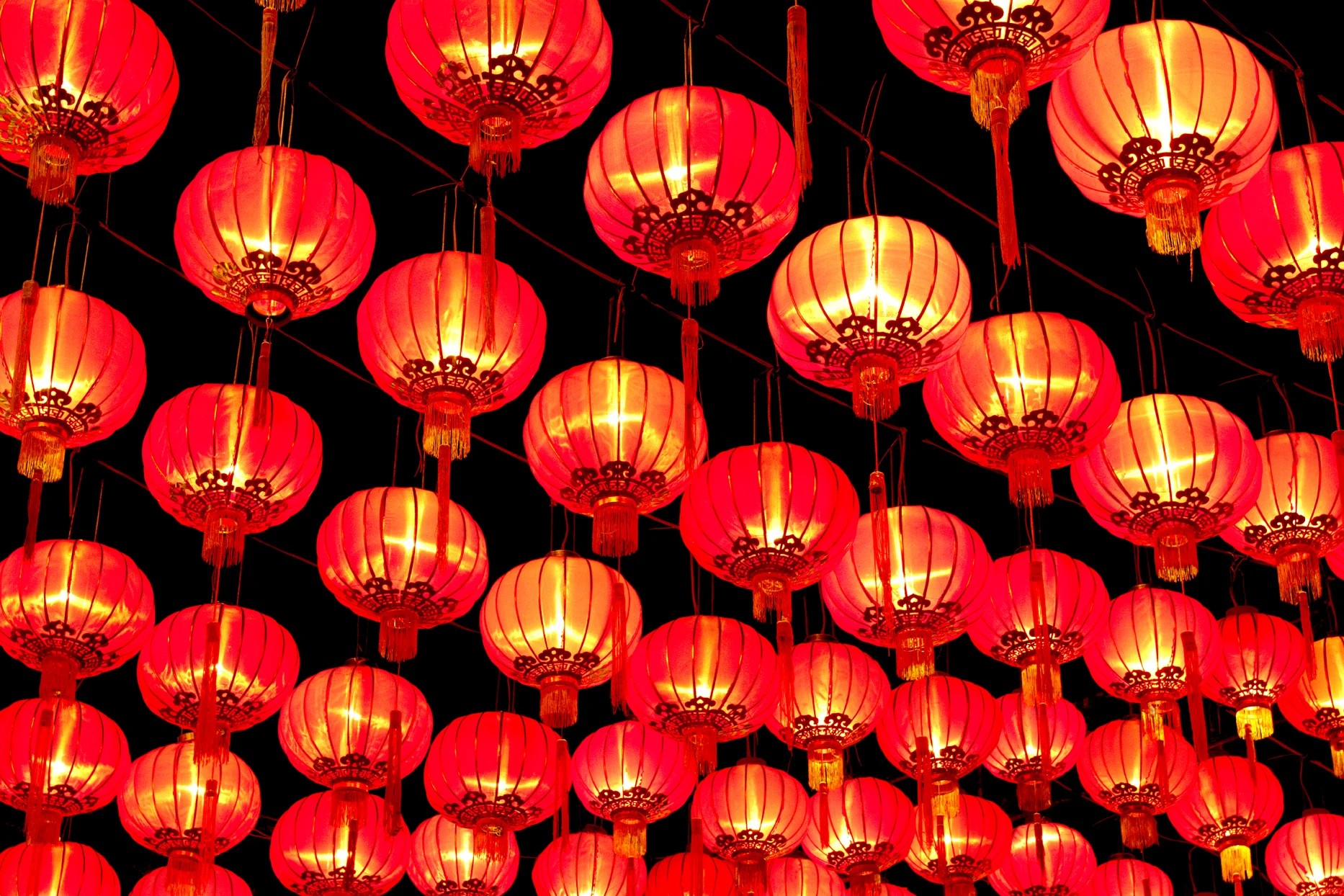 shanghai lanterns three.jpg