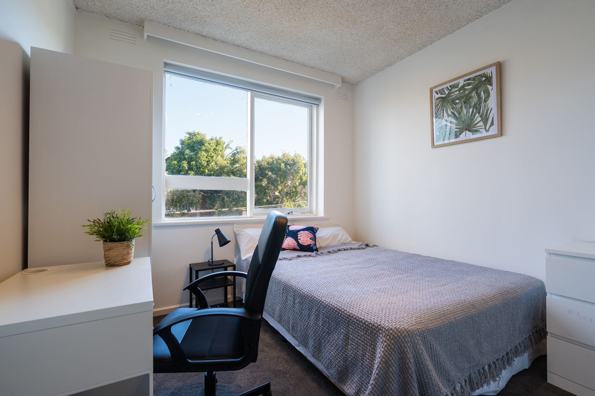 WhatsApp Image 2022-11-10 at 11.06.33 AM.jpeg