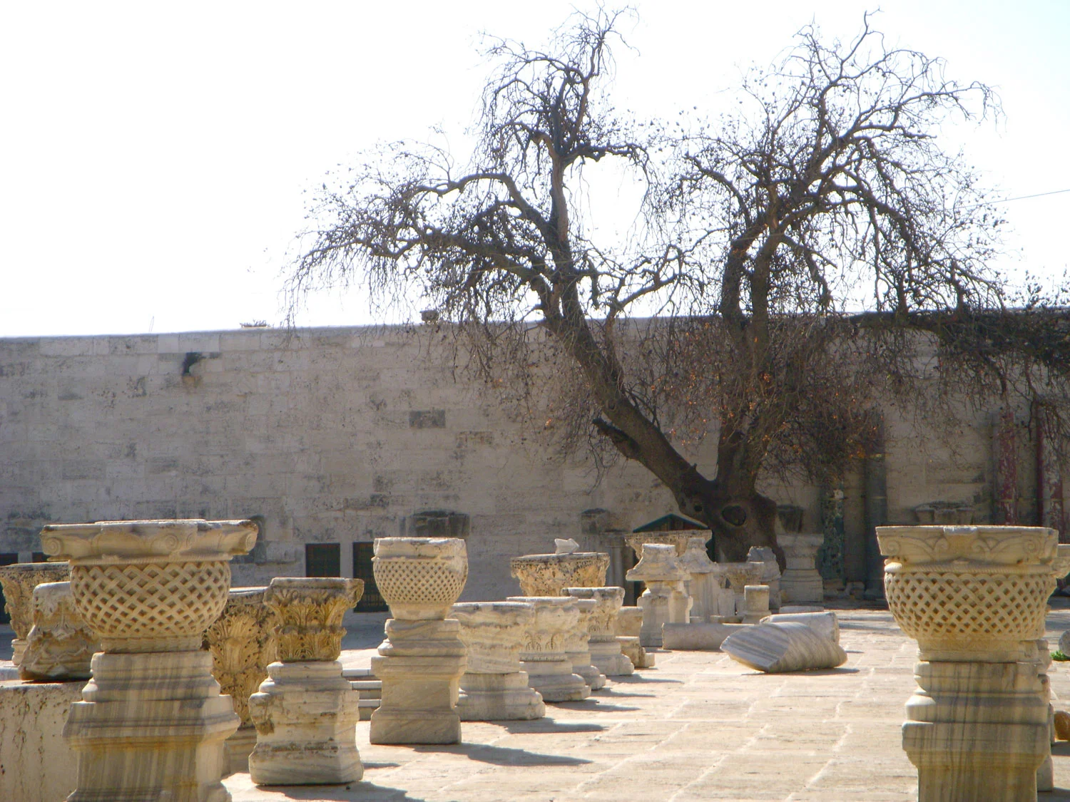 Terry Bennett Ministries