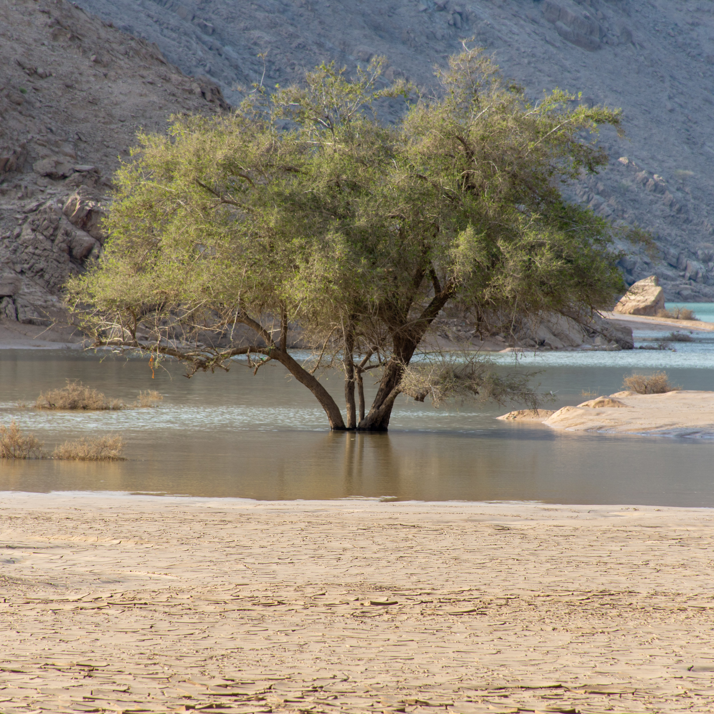 The "Joseph Anointing"