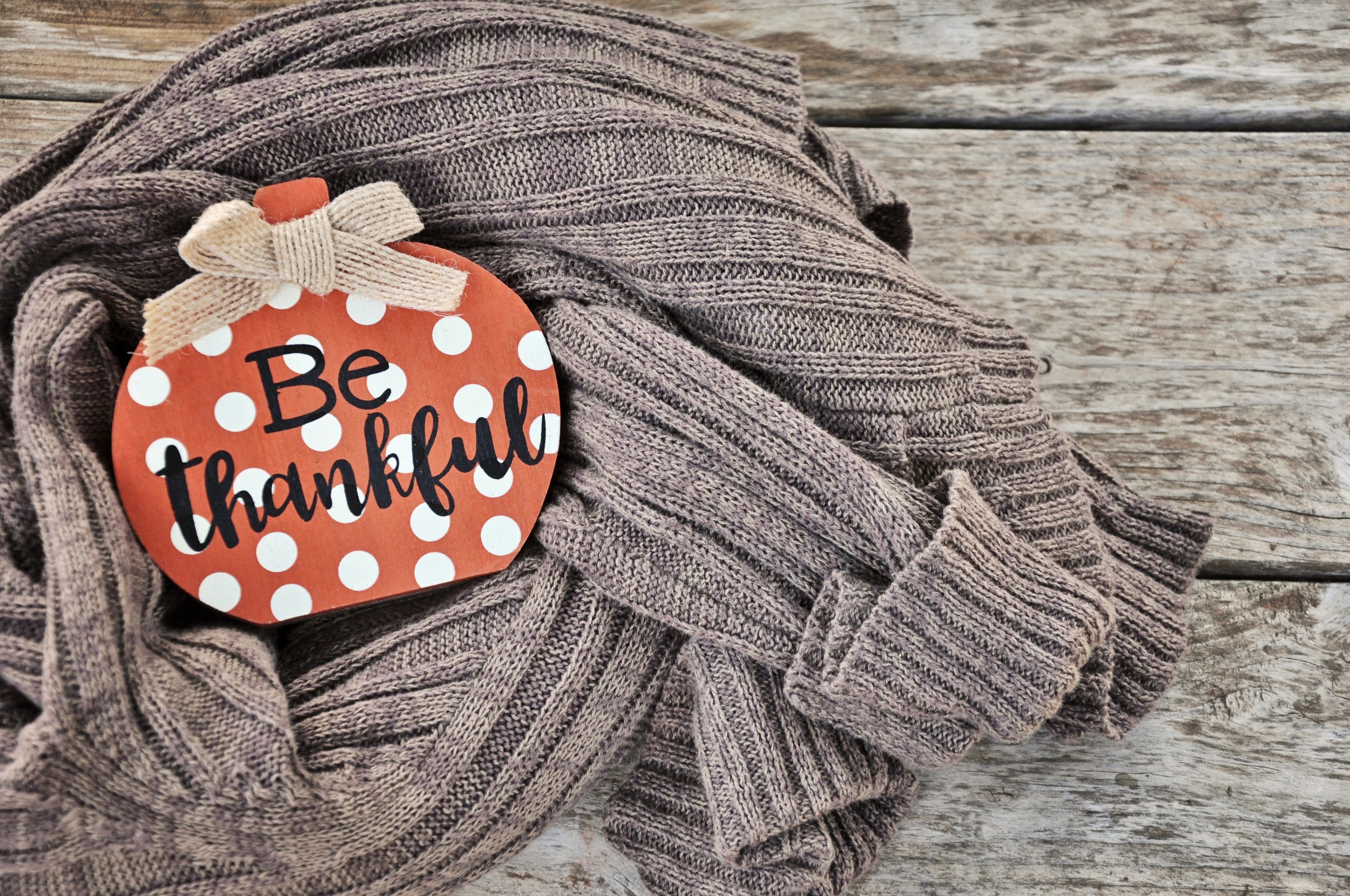 So Much to be Thankful For