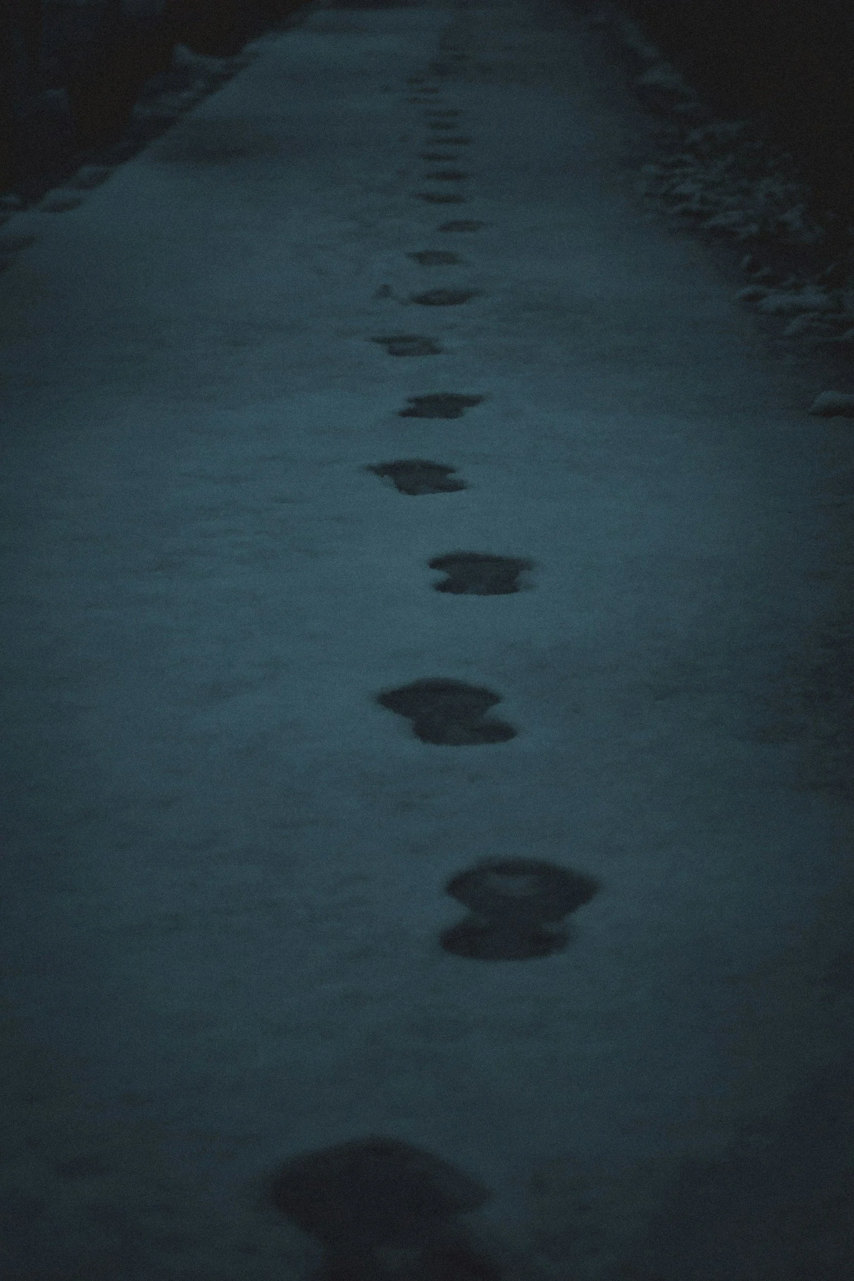 Acknowledge God In Your Life By Obedience.    By Susan Hawkins