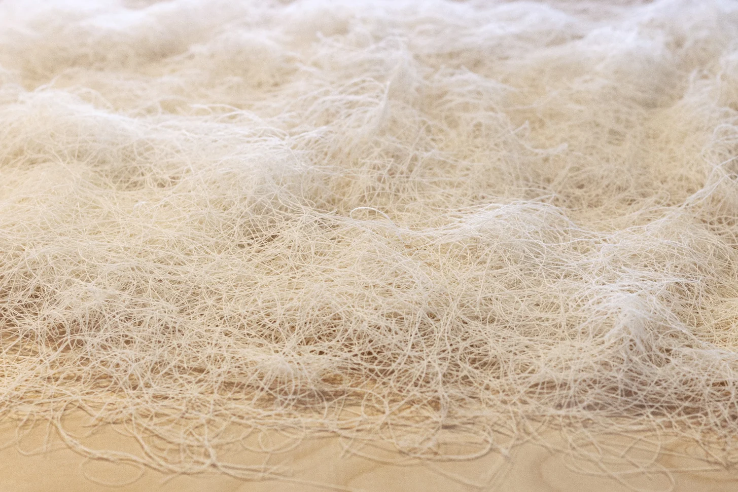 Everythingisthisthing_detail1web.jpg