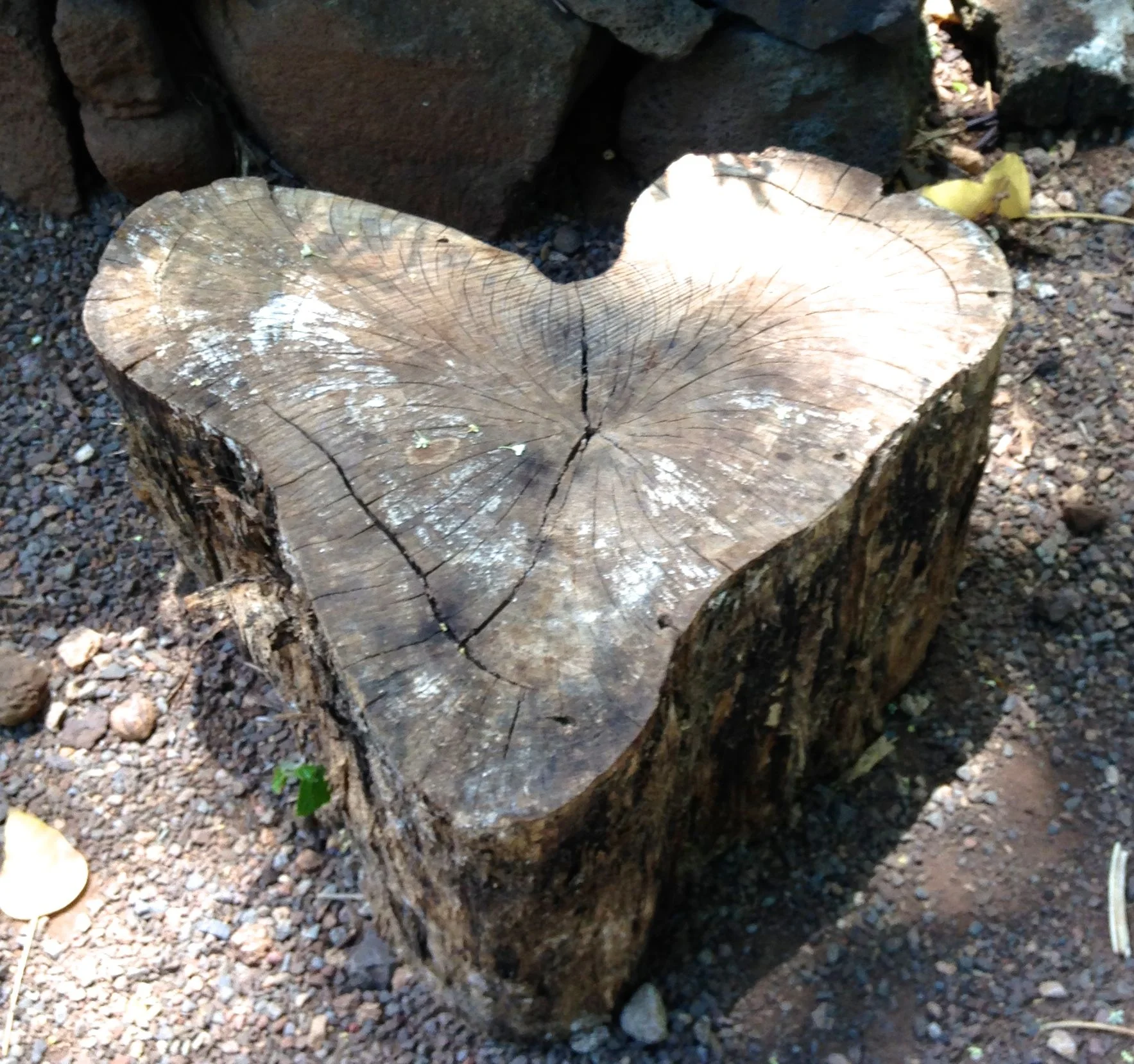 Single and In Love With Me!