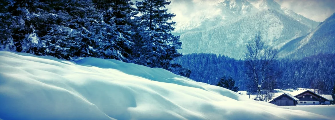 Die Winterreise (Copy)