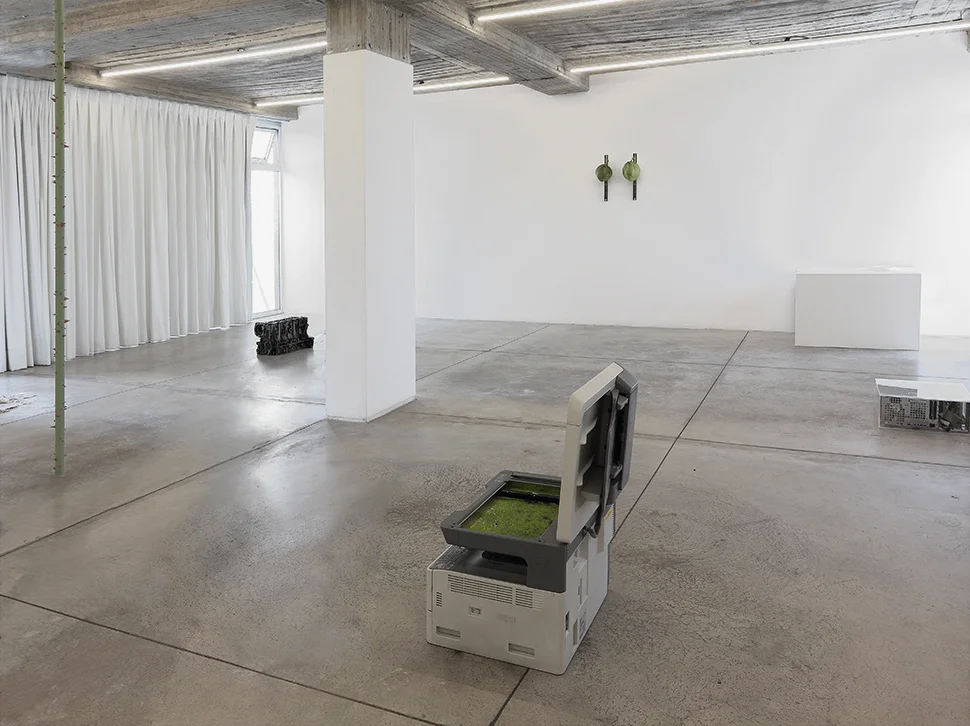 Vista de la exposición / Installation view