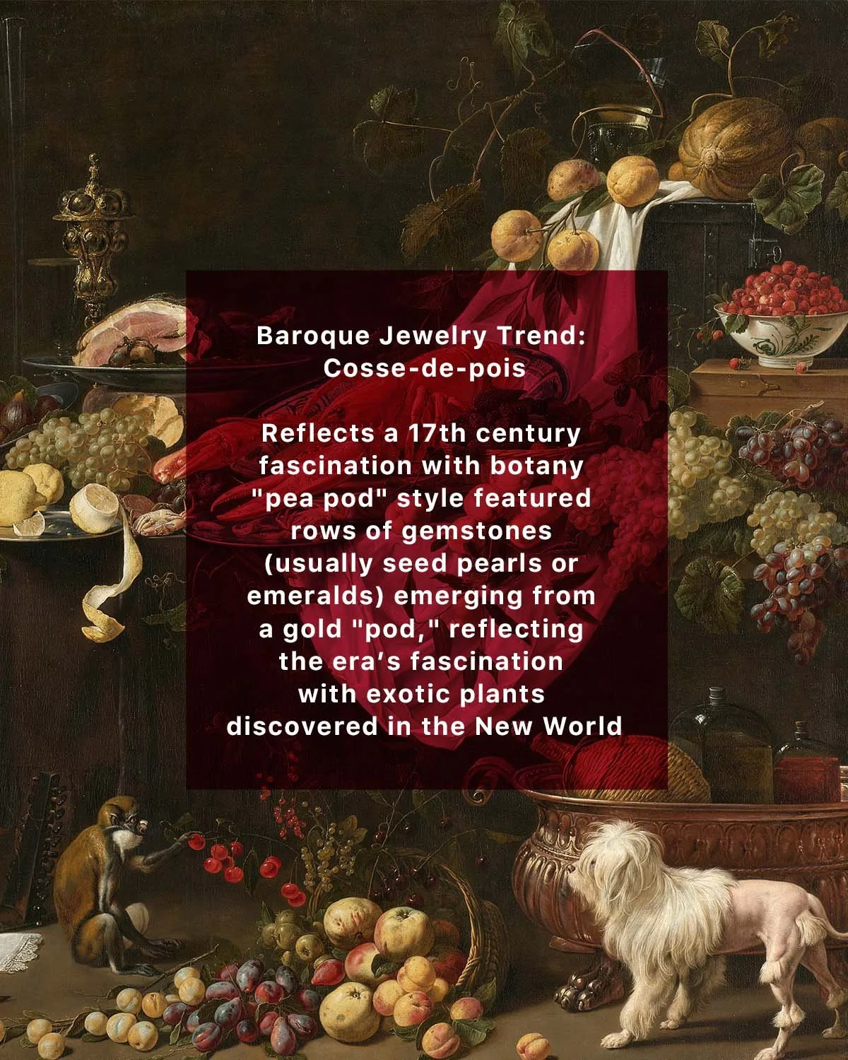 18 Jan BAROQUE B.jpg