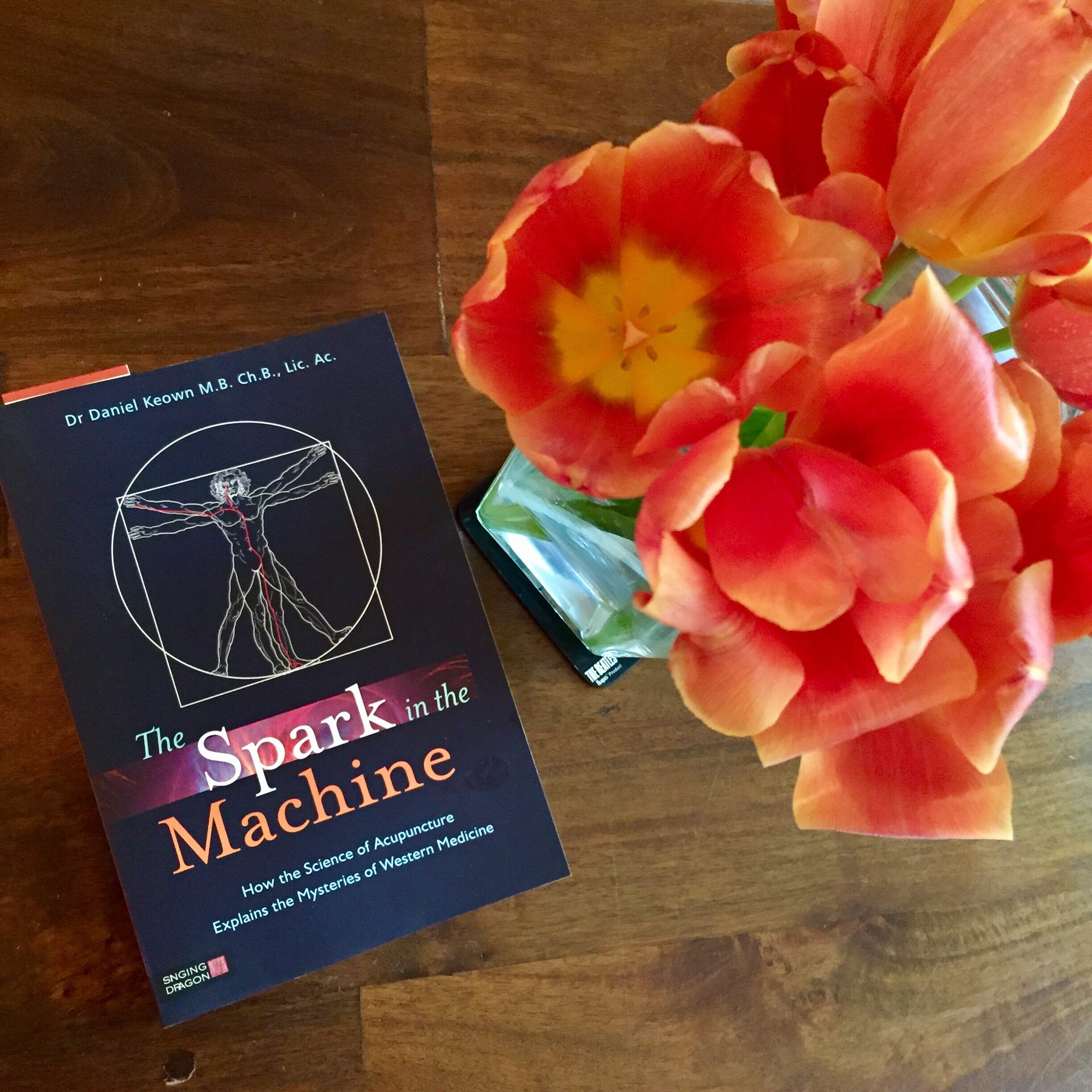 Best Books for Learning About Acupuncture