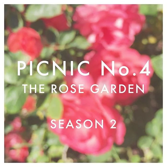 Picnic No. 4: the Rose Garden // Exposition Park Rose Garden // 12.4.16 // #twelvepicnics #picnic