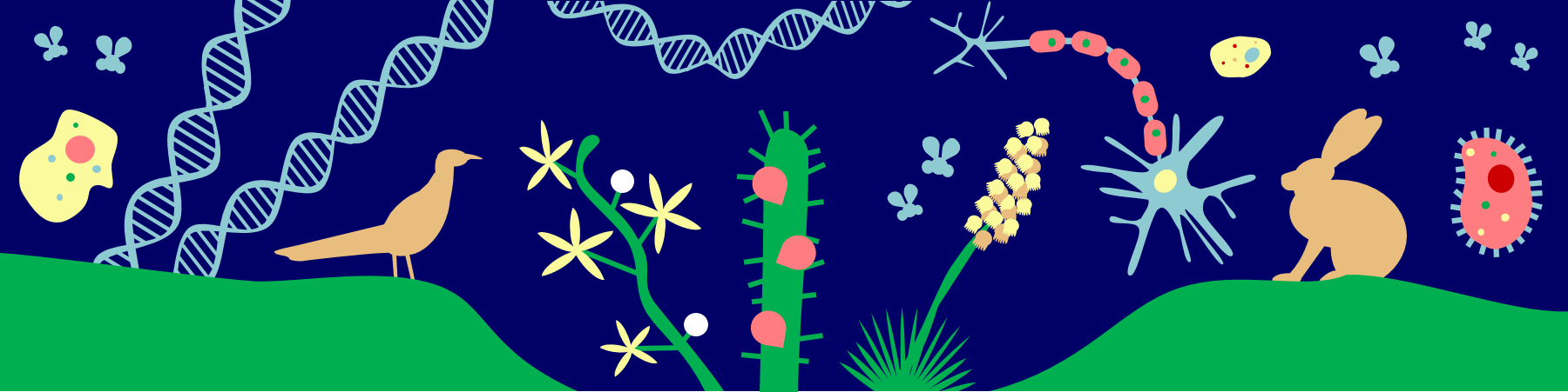 Banner - Biology.png