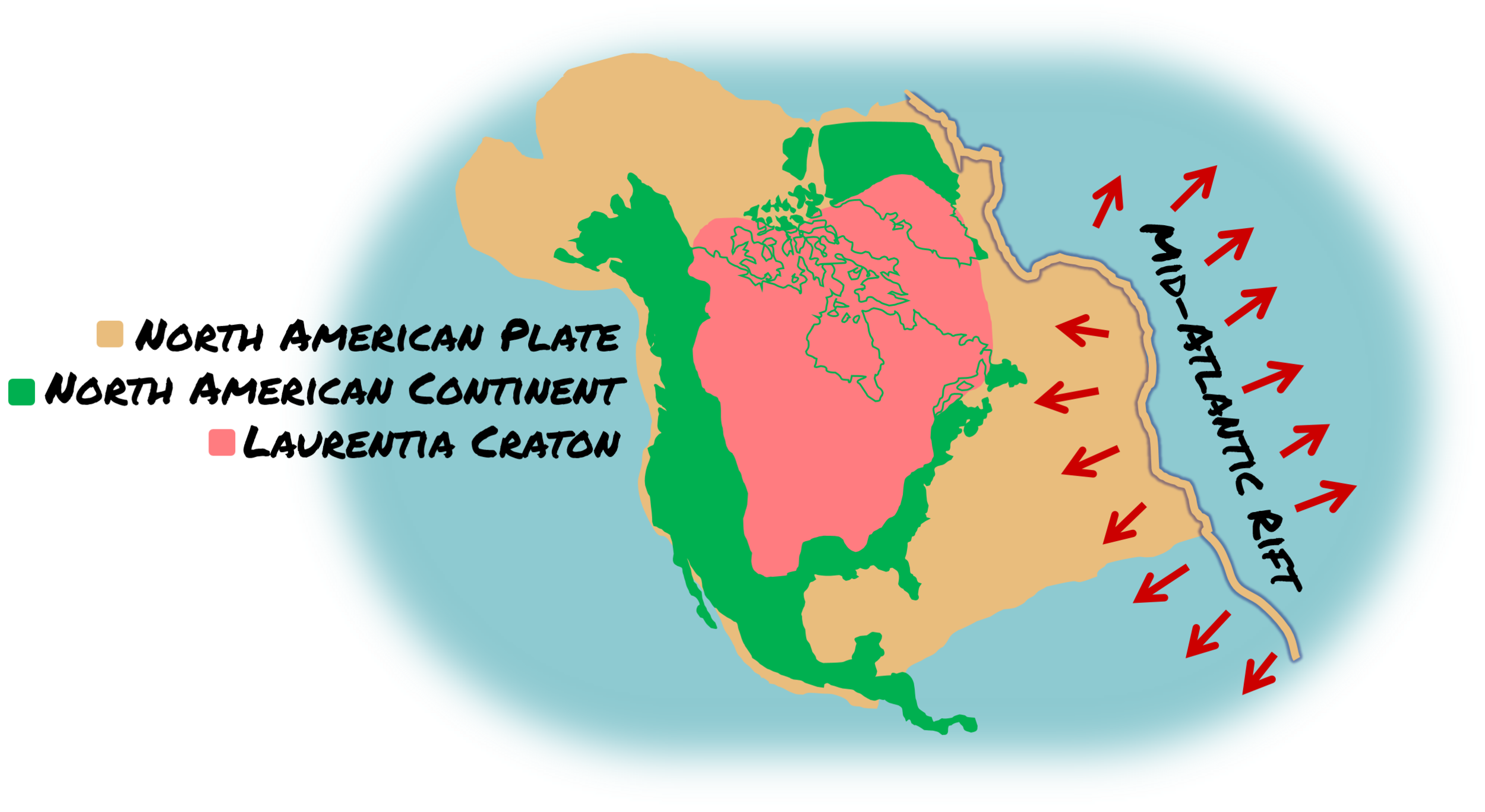 Tearing The Nation Apart New Mexicology