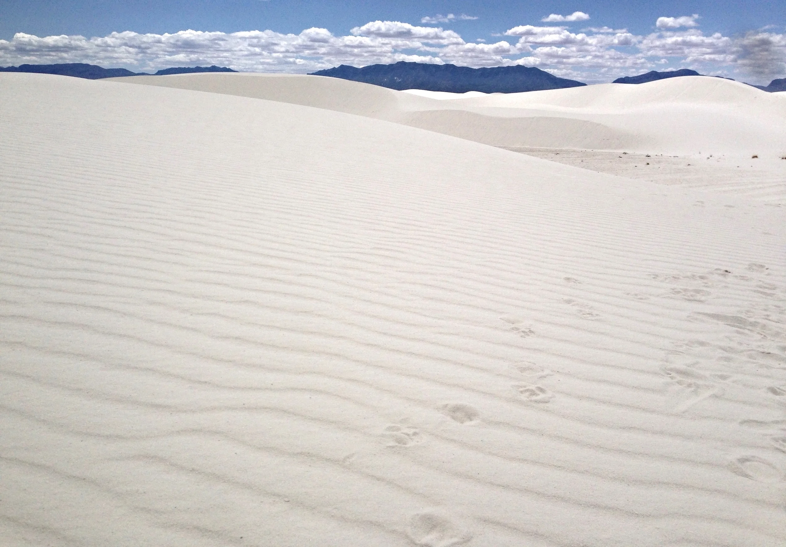 The Moon, Mars, and New Mexico