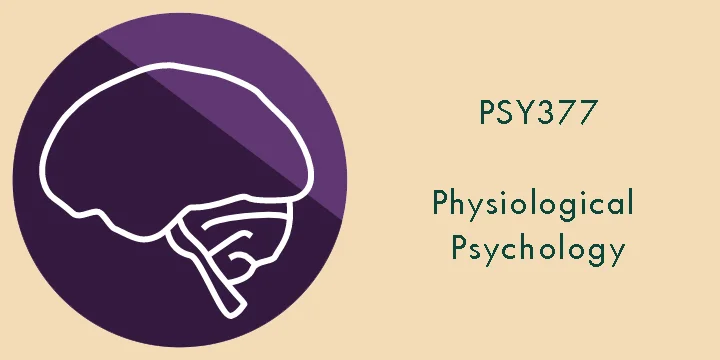 psy377.jpg