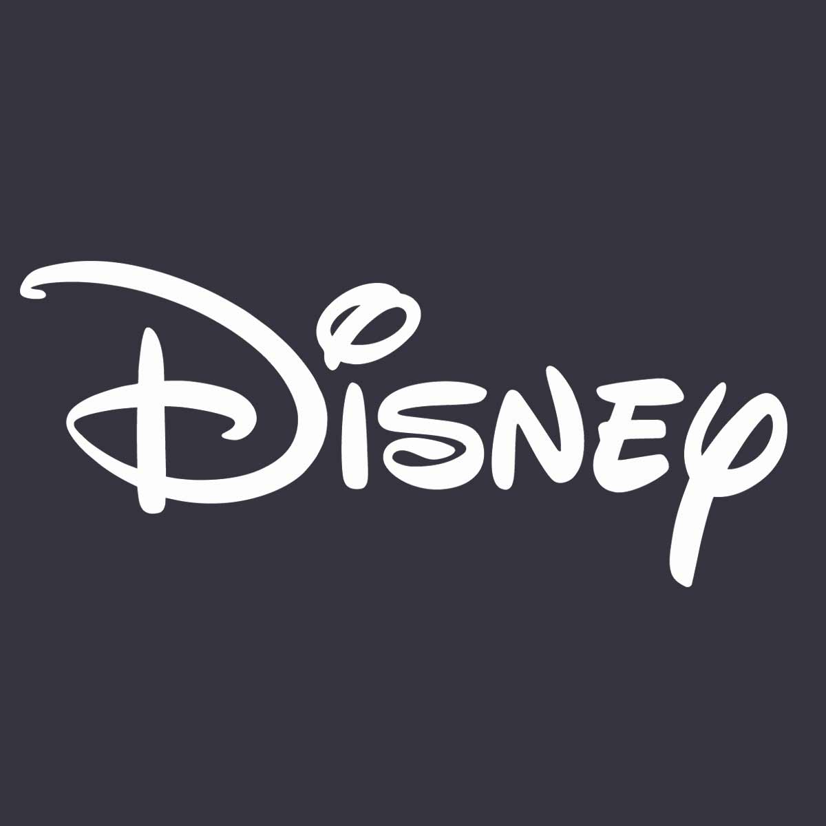 vaswani_disney.jpg