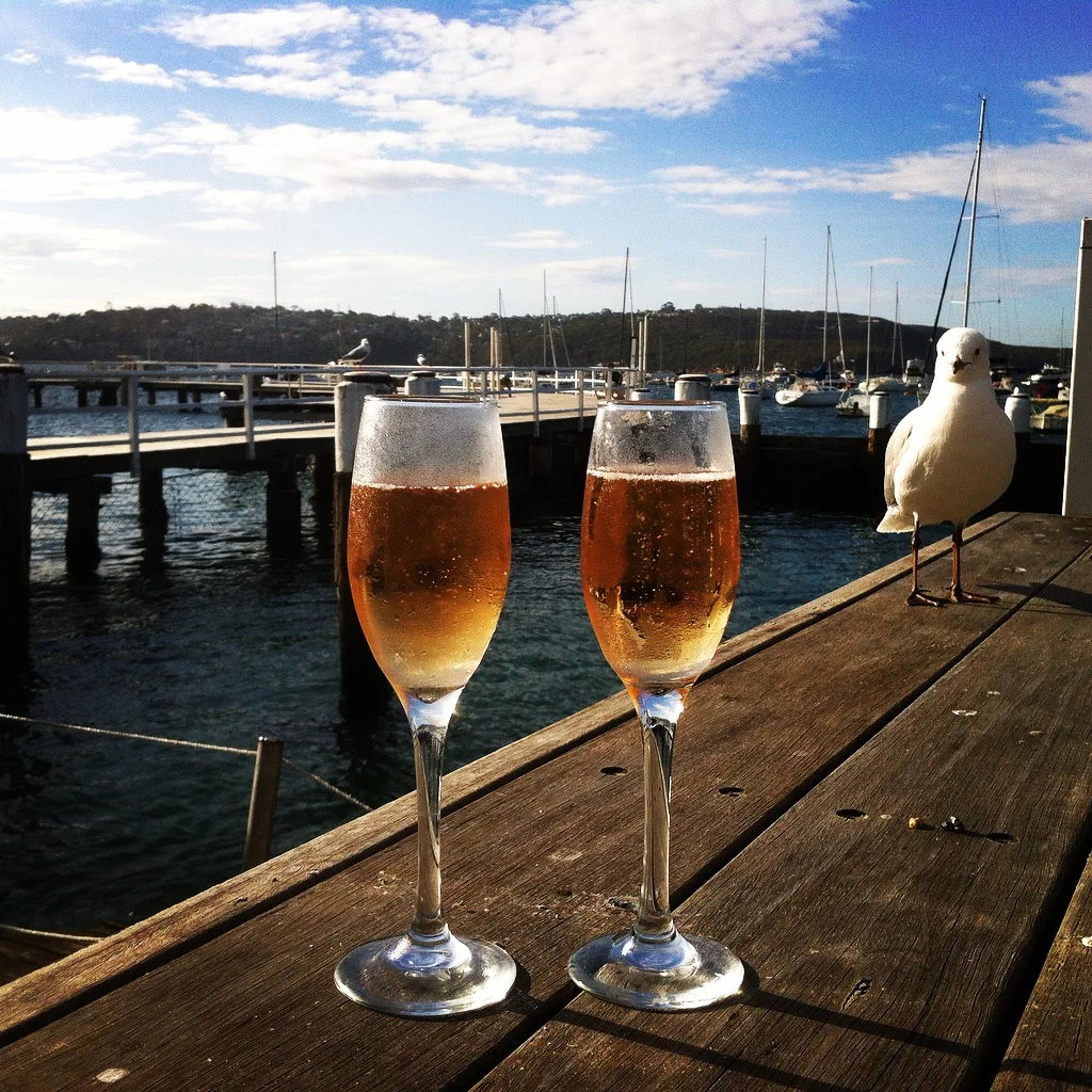 The idea for Vinotopia and what happened next