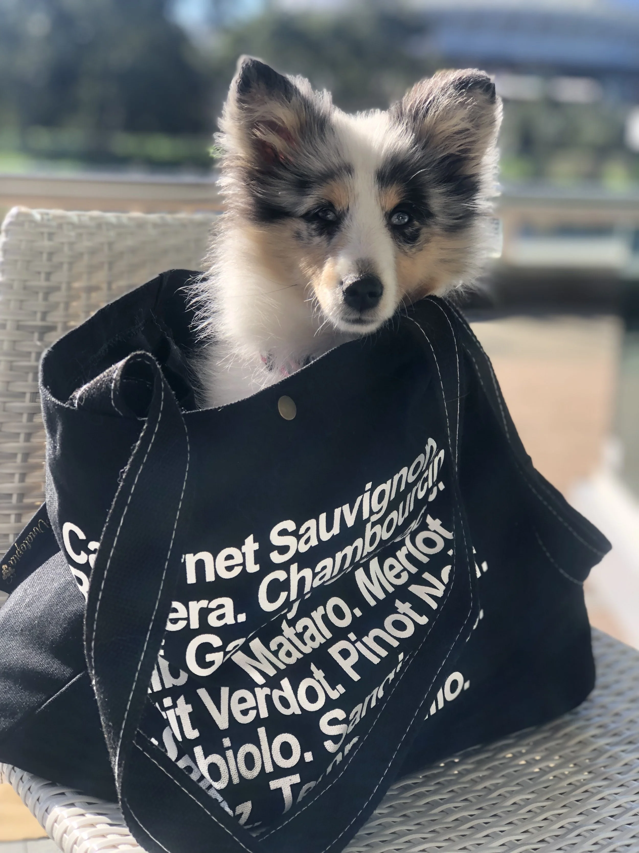 C2BCEFB2-4F64-4608-8195-26D8C4329B5B