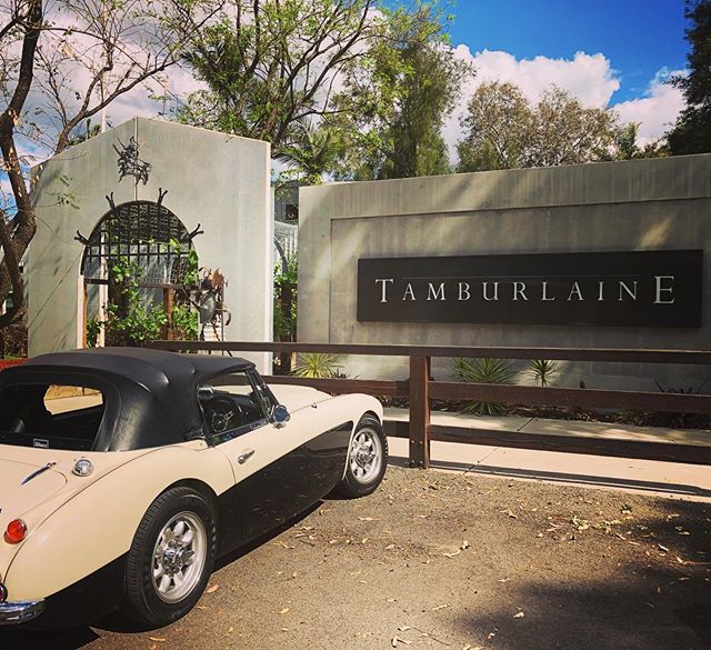 Wine country done right. 😮😍🚘🍷🍷@tamburlaineorganicwines ⁣
⁣
#huntervalley #tamburlaineorganicwines #winelovers #winecountry #winetravel #convertible #oldtimer #racecar #daytripper #winetasting #winemediaconference #wmc19 #organicwinery ⁣