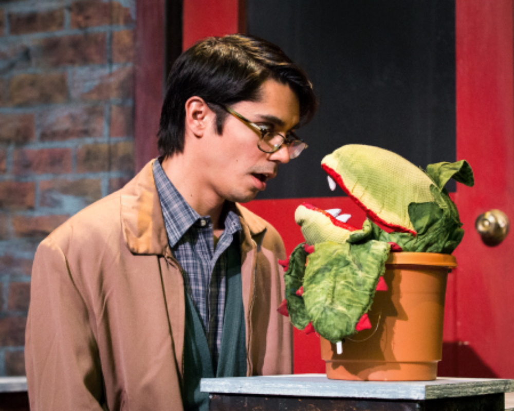Little Shop of Horrors , March 2015