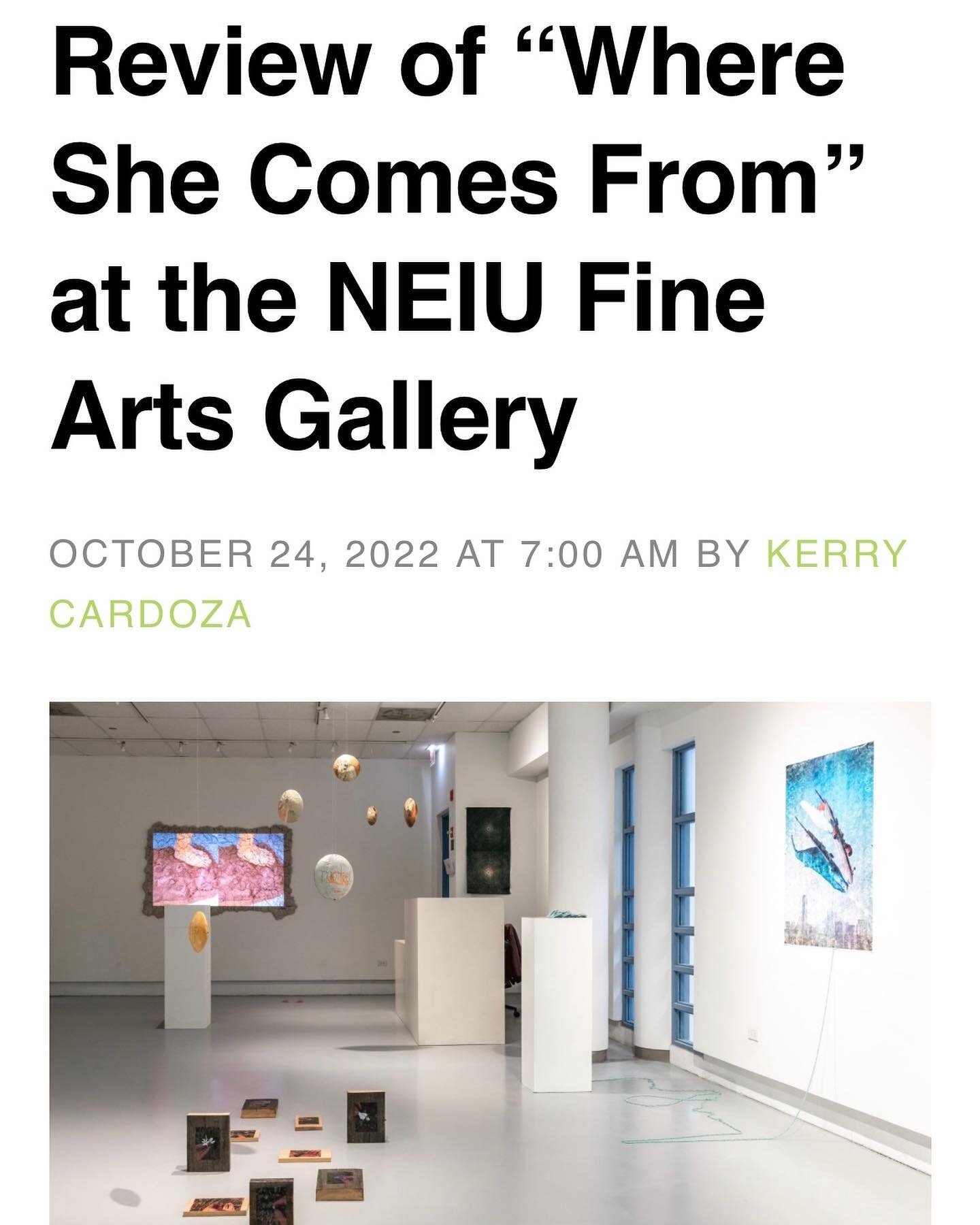 Many thanks to @booksnotboyz for your keen eyes and this review. 

If you haven&rsquo;t already do visit &ldquo;Where she come from&rdquo; at @neiu_fineartscentergallery curated by @pia_singh. Exhibition is open until 28th October. 

@ashwinibhat @ja