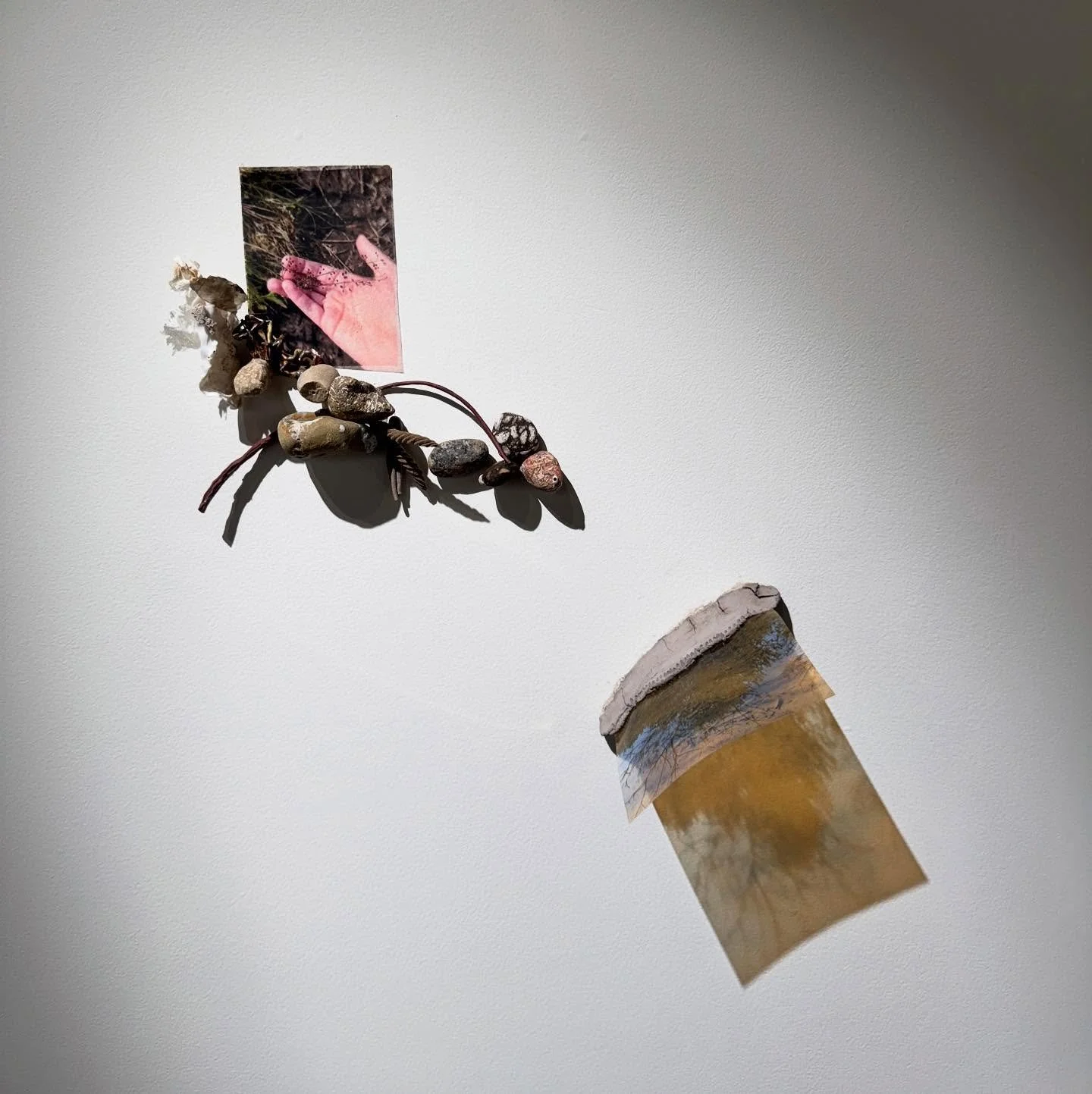 Once alive, 2025, from the series Glyphs of a Temporal Landscape, dried phalaenopsis orchid, porcelain, mica (Noresund, NO), fossil rocks, geode (Steuben, USA), Common wolf snake skin (Panchgani, IN), laser print on transparency, stoneware, murud she