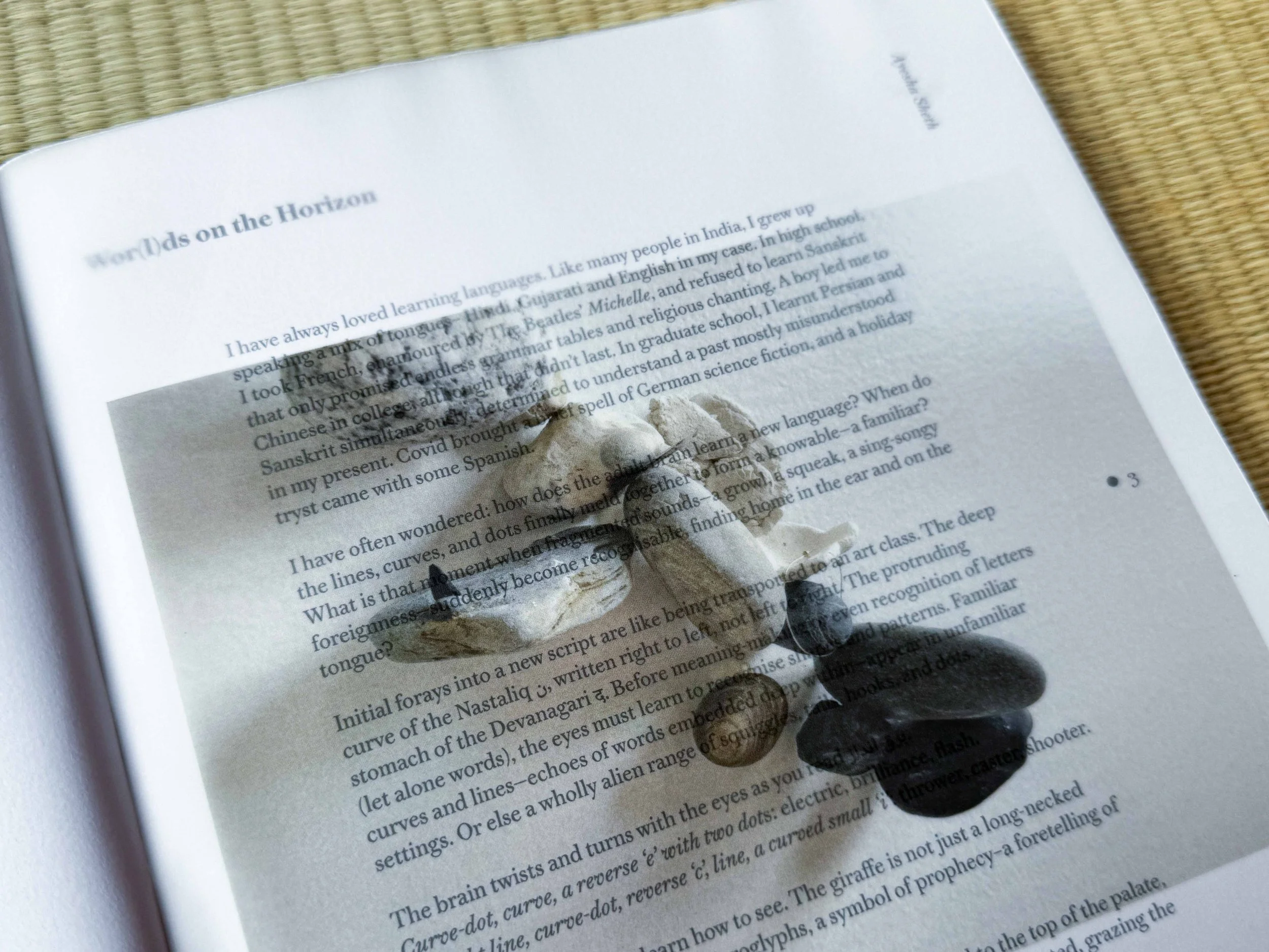 book-1.jpg