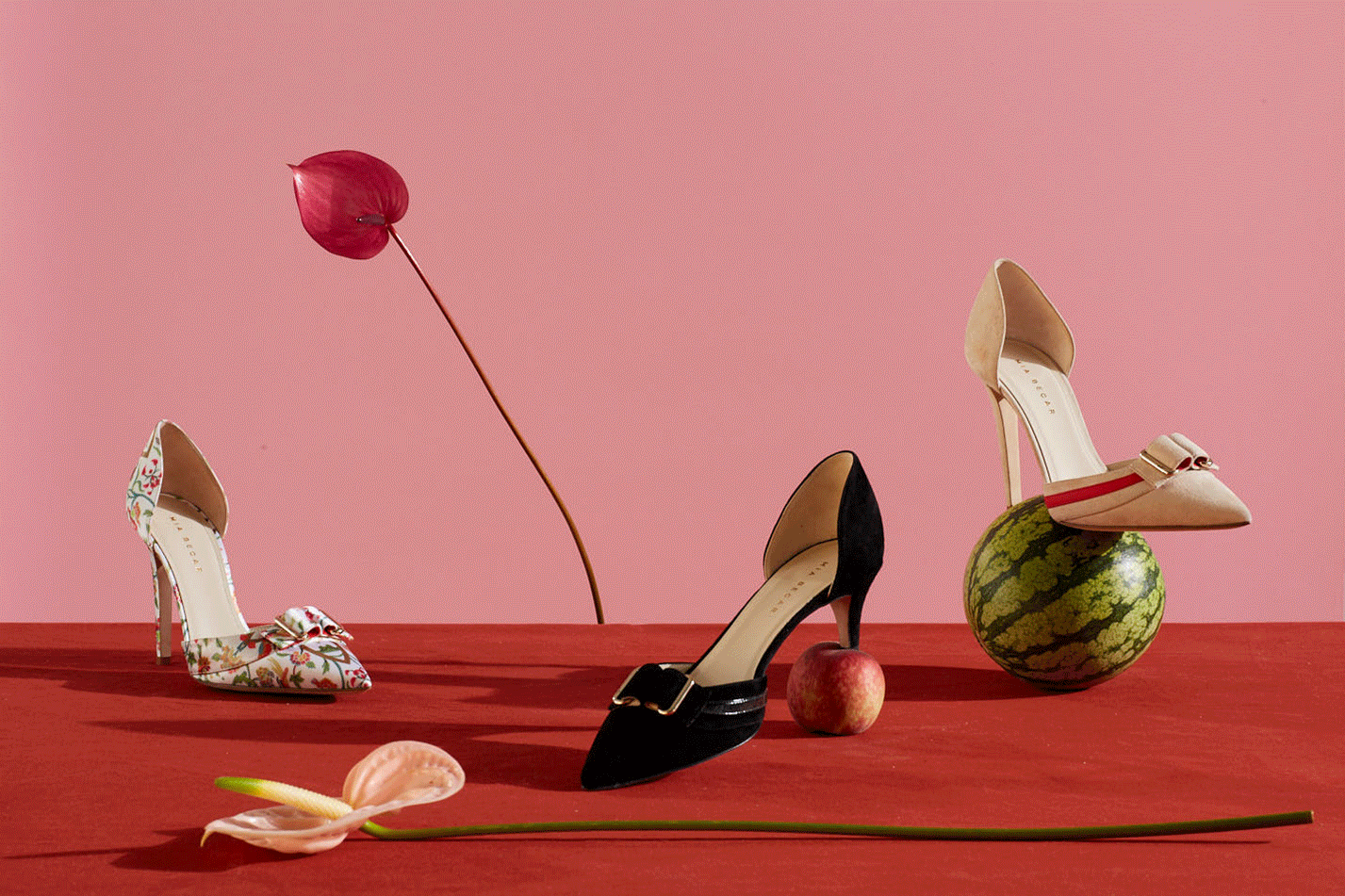 ALMA_COLLECTION.gif