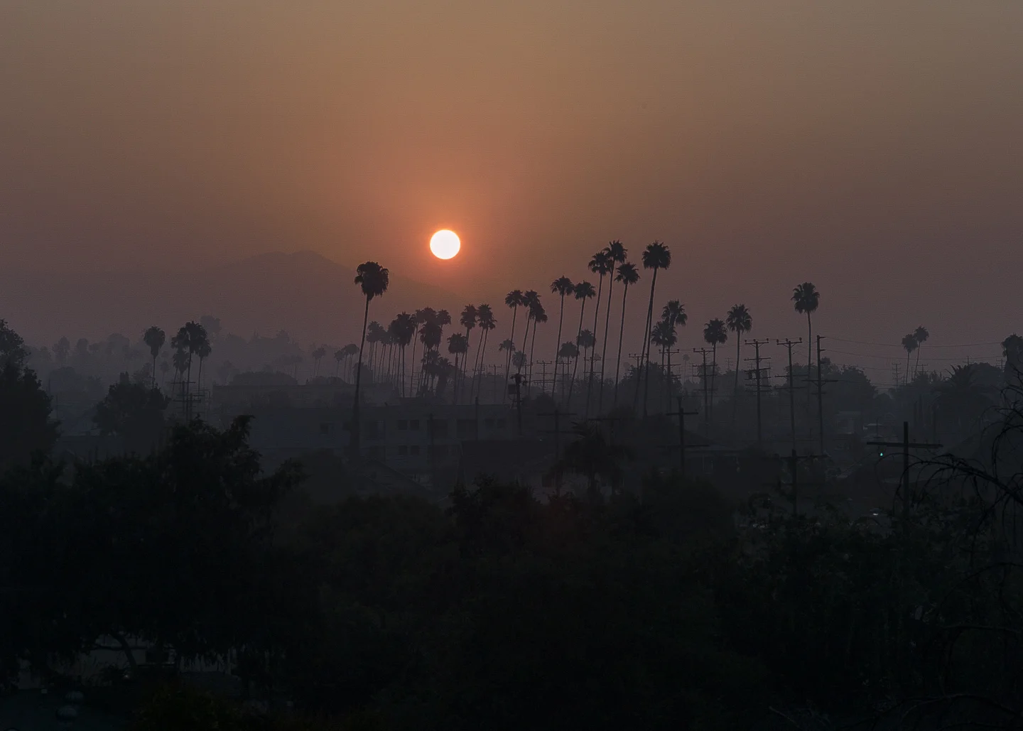 L1012340_web.jpg