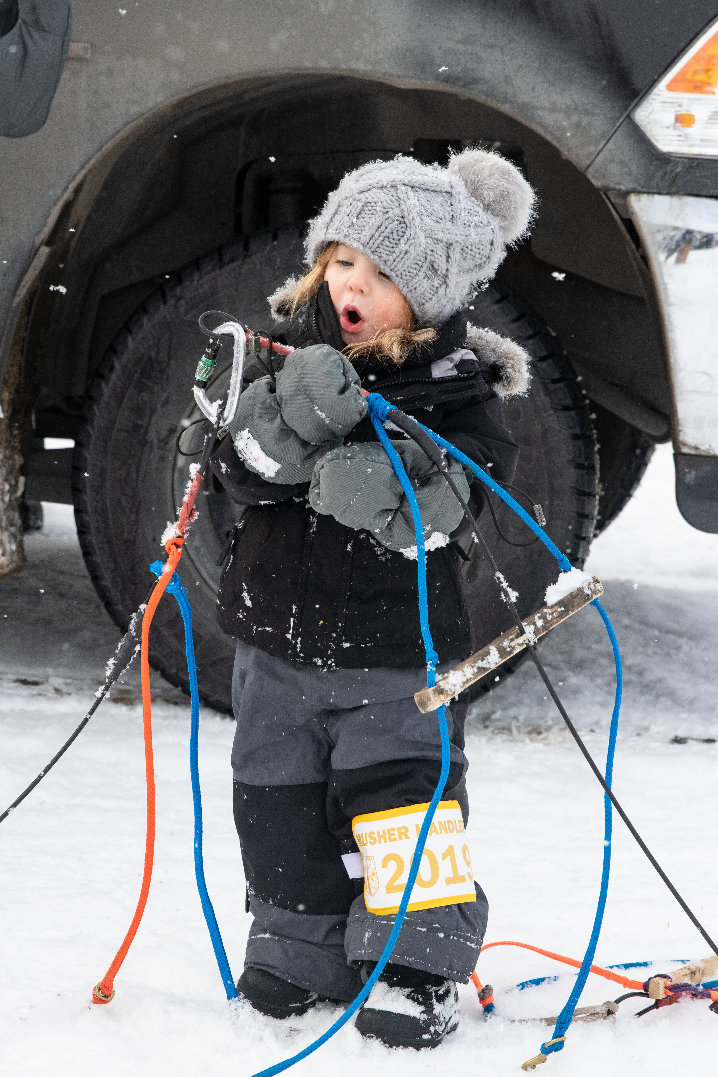 Re-start, Iditarod 2019