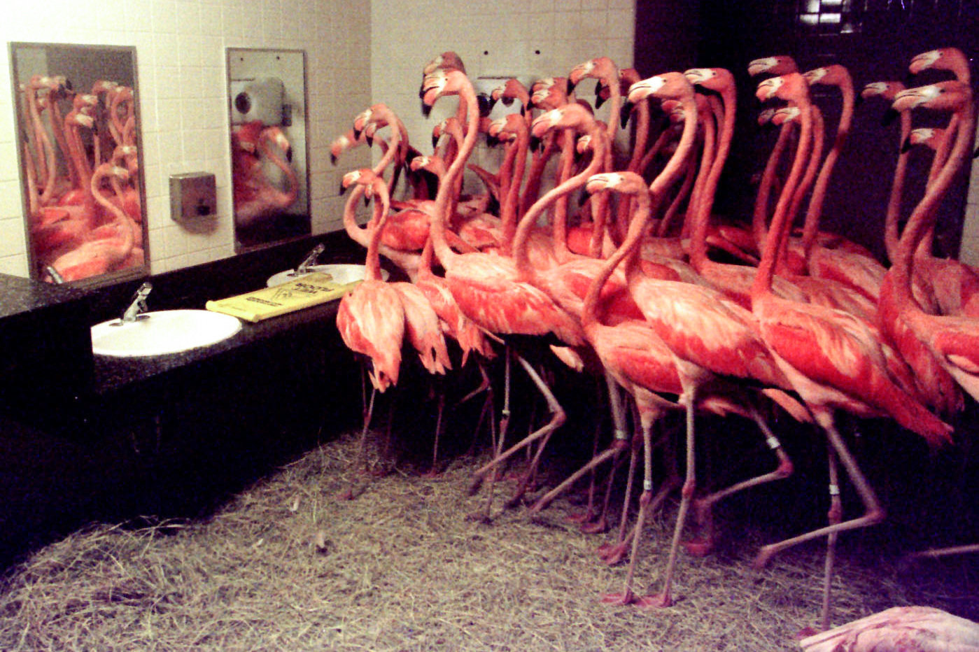 gettyimages-1149973_slide-70446cbcd6d6fd12d1db9807d453c948eef6e20a-s1600-c85.jpg