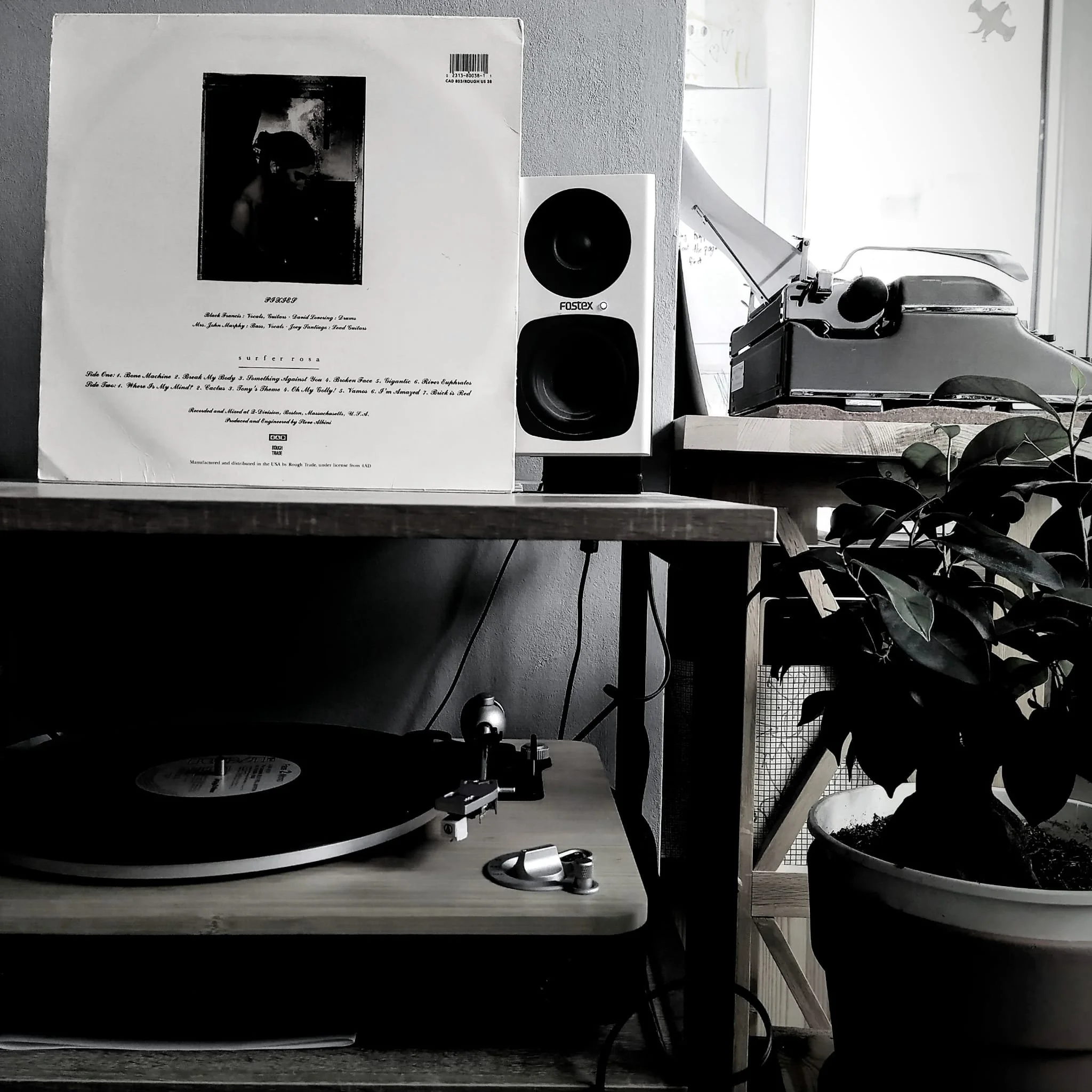 Steve Albini and Aristotle