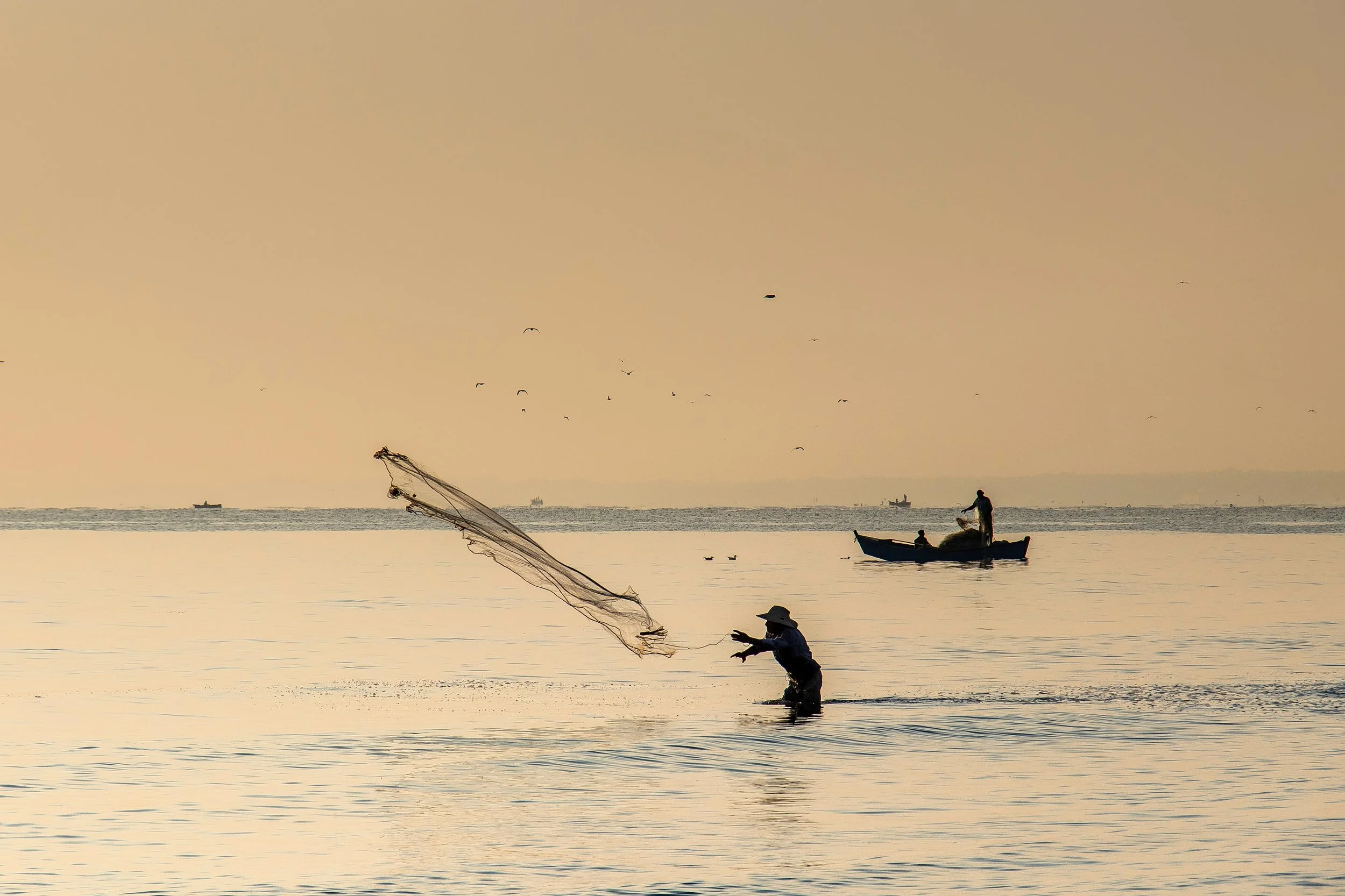 Waiting For The Fish