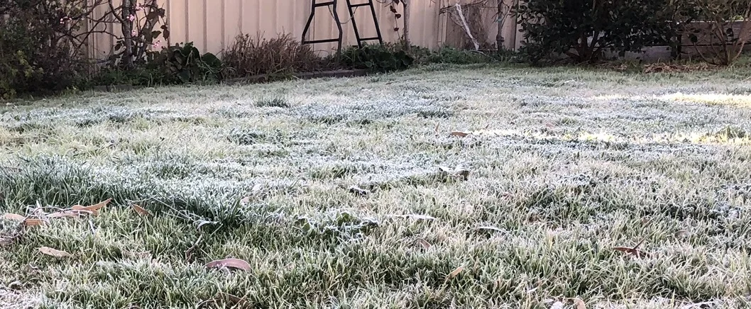 Frostwatch intro: AntiDegrees