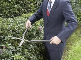 Garden Polymath cases in point