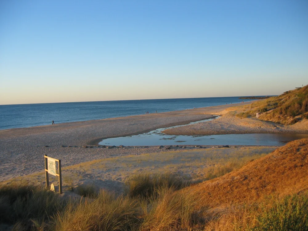 104_0453 redux no edits.JPG