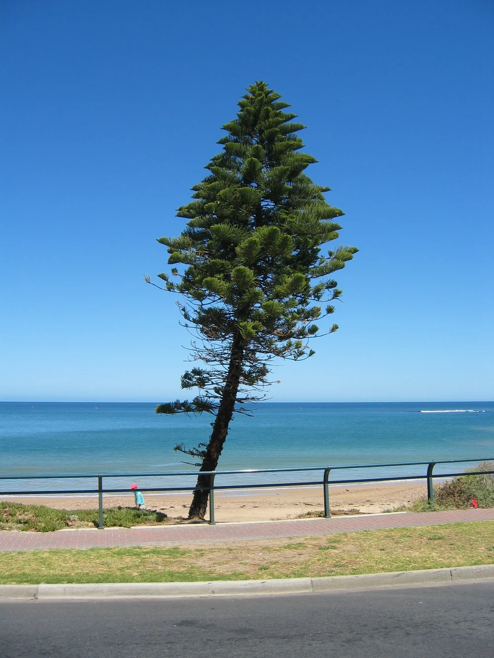 106_0618 redux no edits.jpg