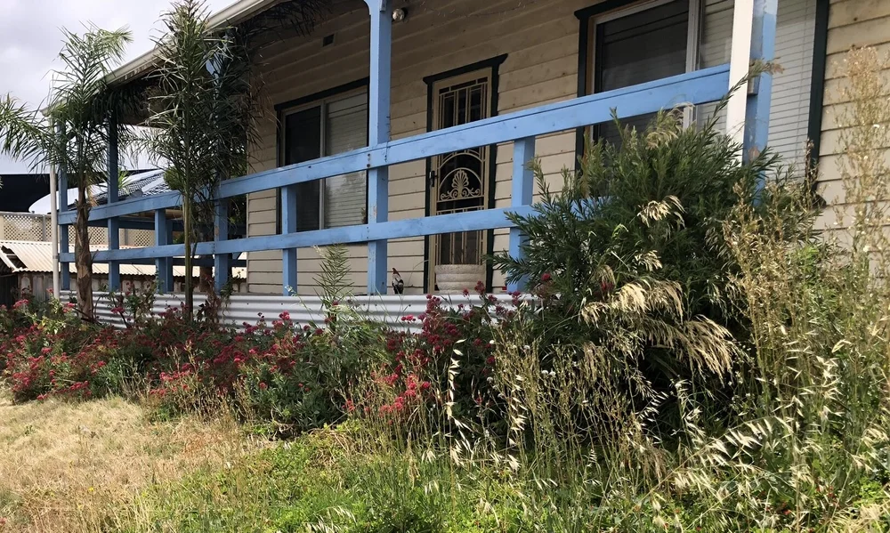 IMG_5908 - edit.JPEG