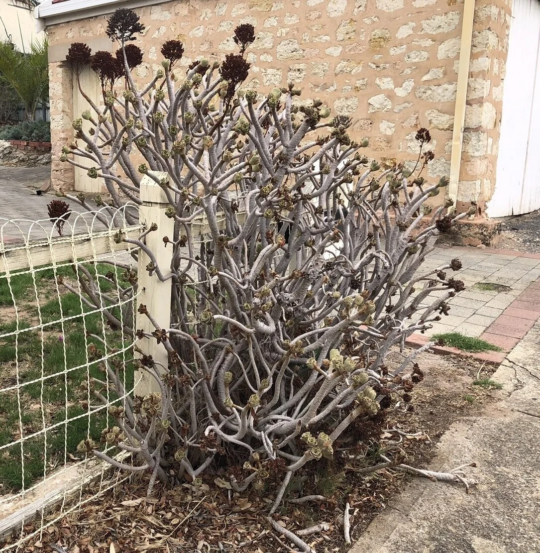 IMG_5914 - edit.JPEG