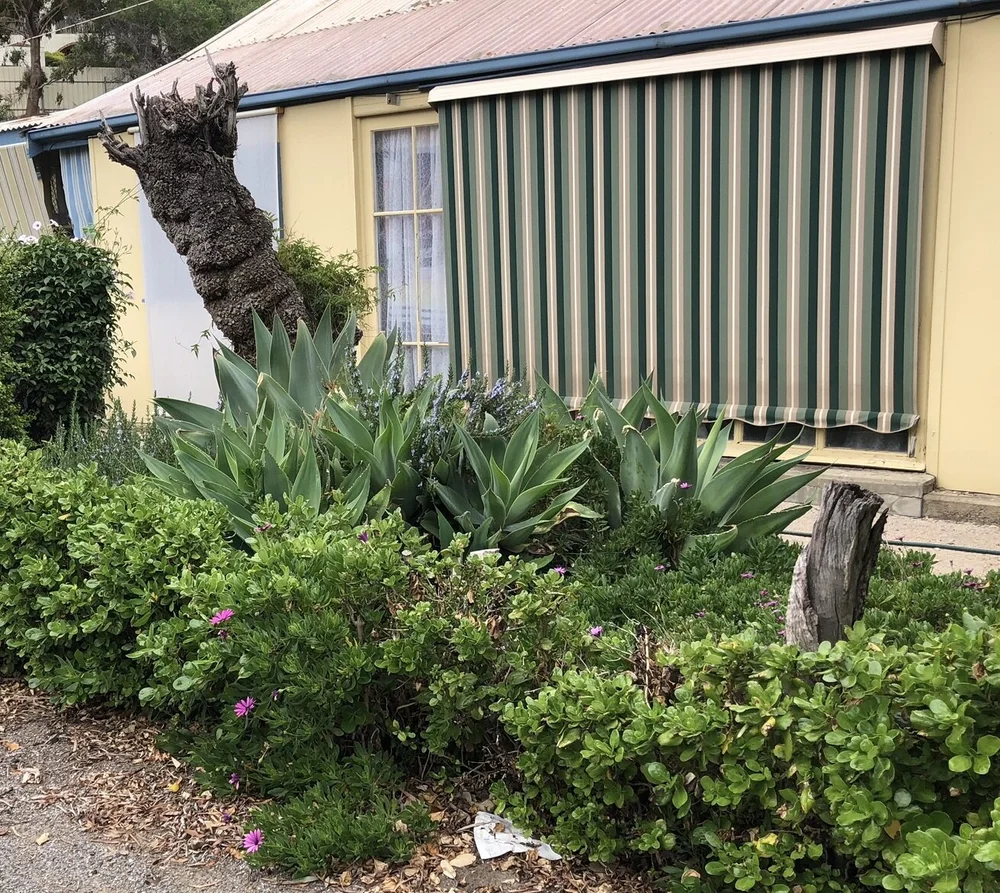 IMG_5930 - edit.JPEG