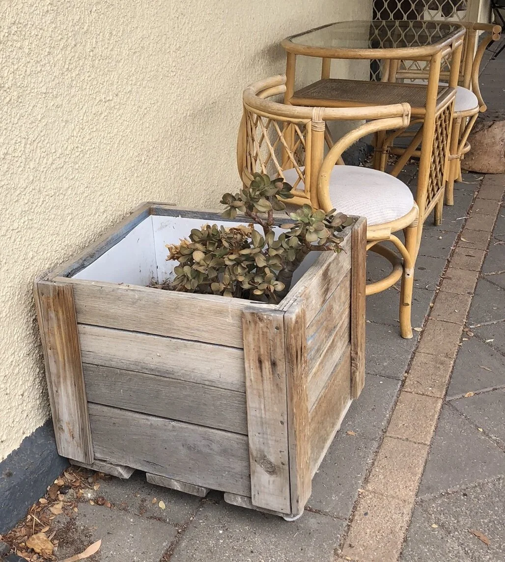 IMG_5926 - edit.JPEG