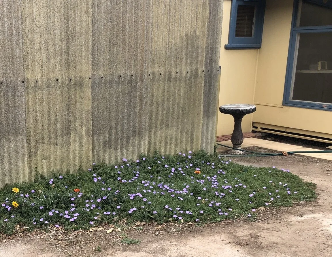 IMG_5943 - edit.JPEG